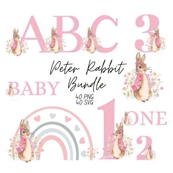 Pacchetto Peter Rabbit età 1-9 A-Z, Flopsy Bunny PNG, Set immagini digitali, Nursery Birthday Baby Shower Girl Pink, Sublimation Clipart Download