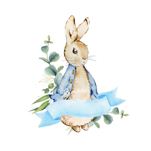 Pierre le lapin PNG, lapin PNG, téléchargement numérique instantané, impression lapin, clipart lapin, sublimation de baptême, clipart lapin mignon