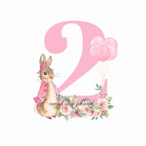 Pink Flopsie das Kaninchen PNG, Peter Kaninchen Alter 2 PNG, sofortiger digitaler Download, Peter Kaninchen, 2.Geburtstag, Kartenherstellung, Sublimationsdesign