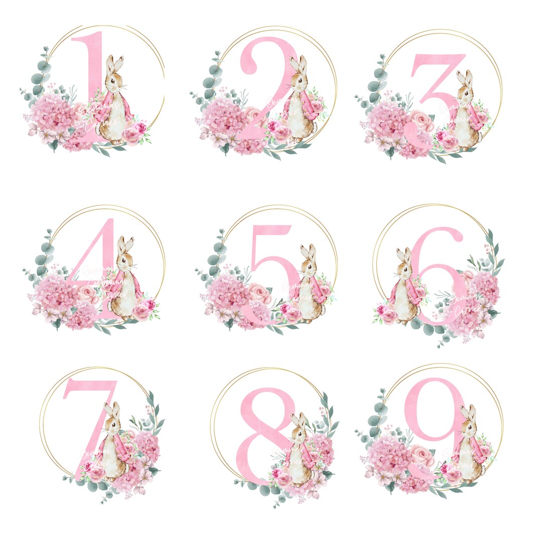 Peter Rabbit Bundle Ages 1-9, Flopsy Bunny PNG, Animal Design, Flopsy ...