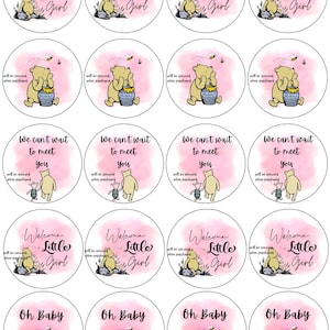 Winnie Pooh Baby Shower Cupcake Toppers Bundle, Winnie Pooh PNG