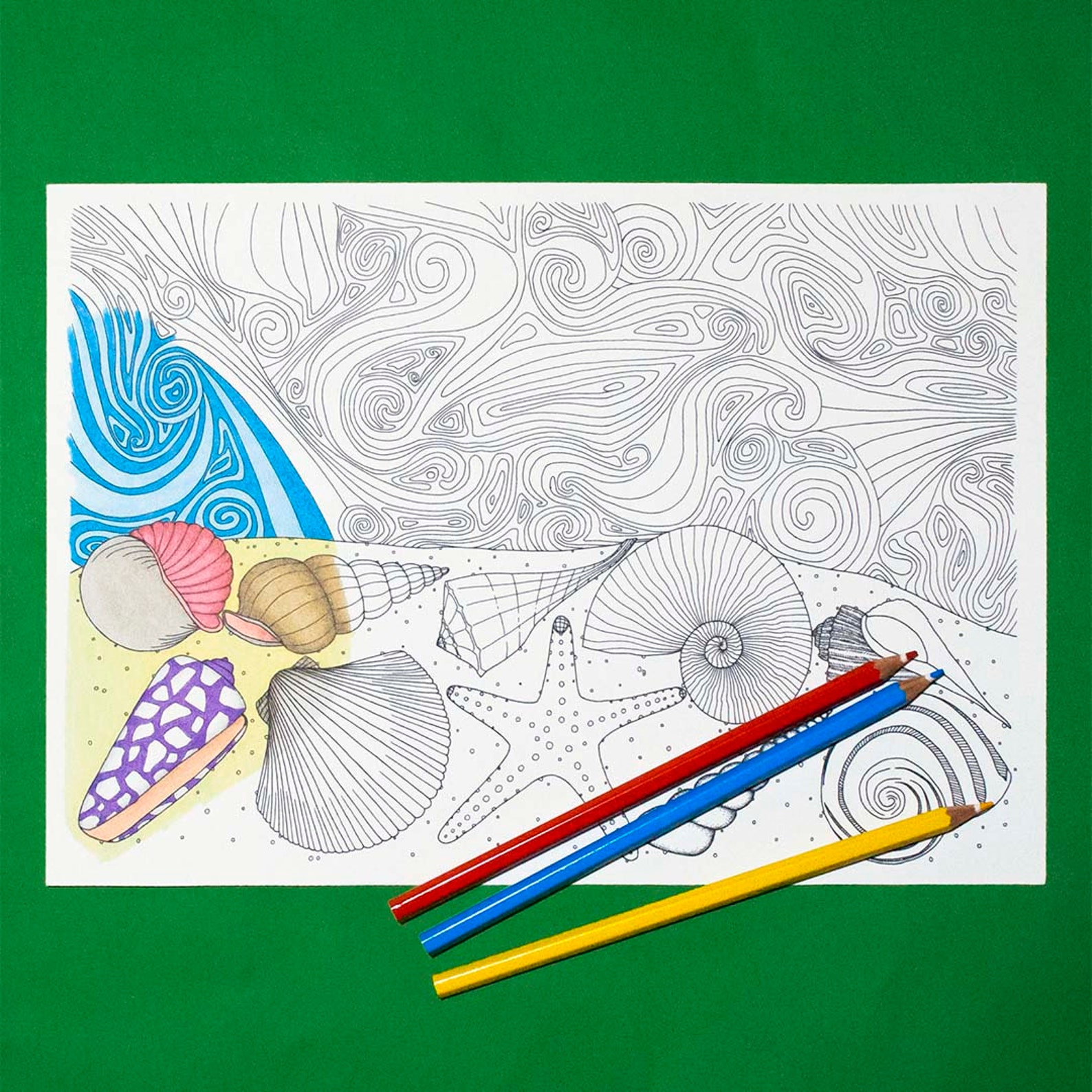 Seashell Coloring, Printable Coloring, JPG/PDF - Seashells on the Shore - Etsy