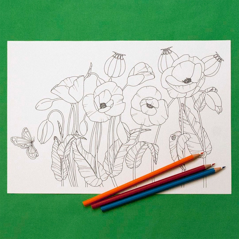39 Colouring Sheet Remembrance
