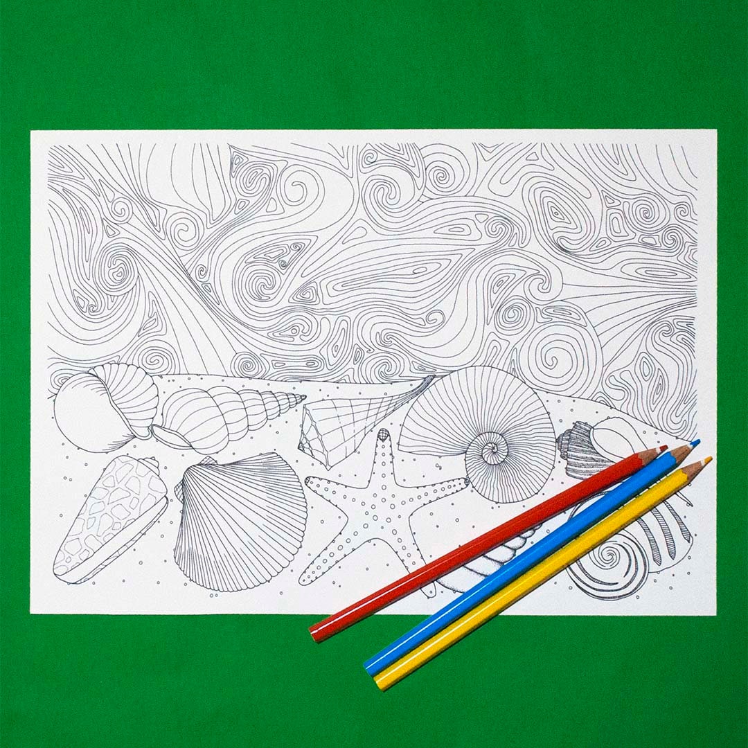 Seashell Coloring, Printable Coloring, JPG/PDF - Seashells on the Shore - Etsy