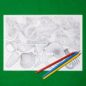 Seashell Coloring, Printable Coloring, JPG/PDF - Seashells on The Shore