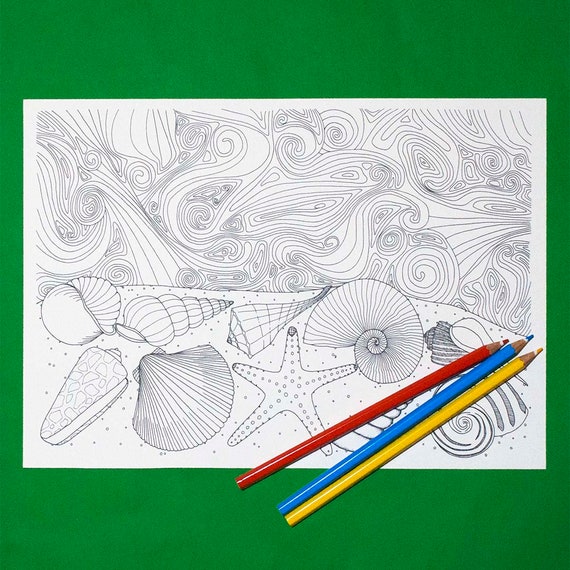 Seashell Coloring Printable Coloring JPG/PDF Seashells on