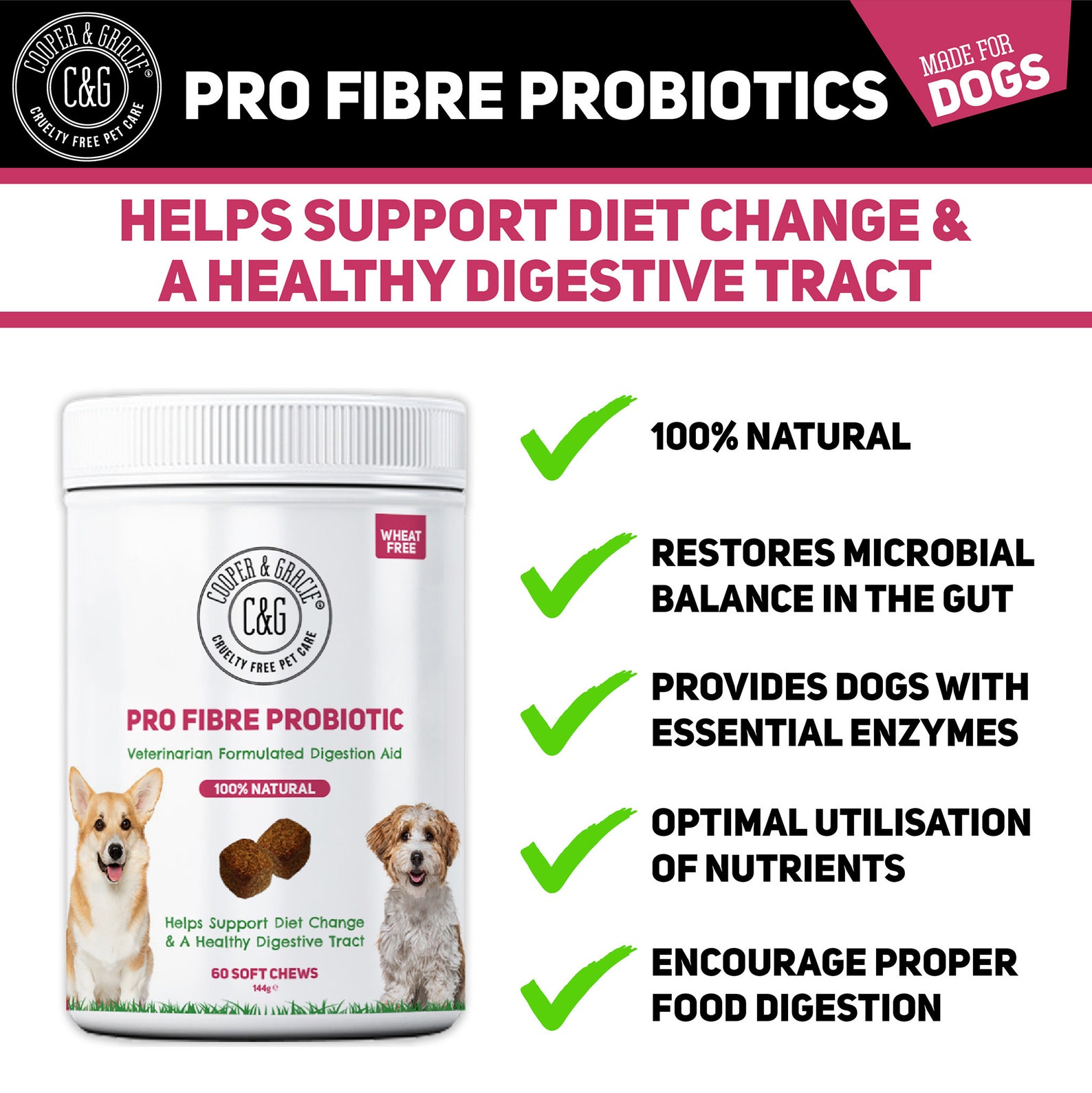 Probiotic Fiber for Dogs 60 Soft Chews Healthy Digestive Etsy UK