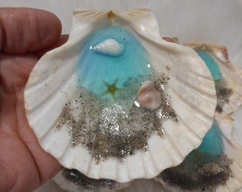 Plato porta anillos de resina con diseño de concha tropical costera de 8,9 cm / Plato porta anillos de resina con diseño hawaiano