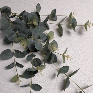 eucalyptus artificiel, eucalyptus, feuillage artificiel, fleurs artificielles, feuillage de mariage, eucalyptus vert, décoration verte, plante d'intérieur