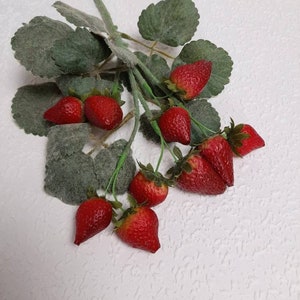 Fake Strawberry -  UK
