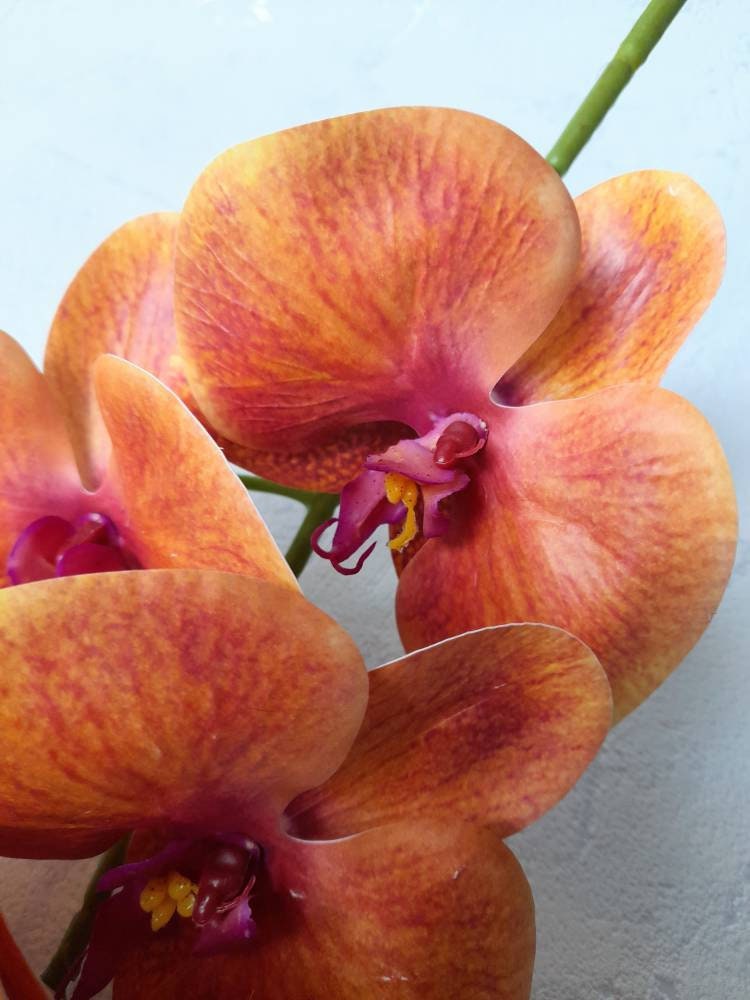 Artificial Orchid Orange Orchid Artificial Flowers Orange Etsy UK