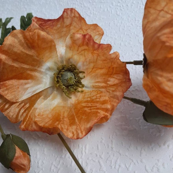 Dried Flowers Poppy Etsy