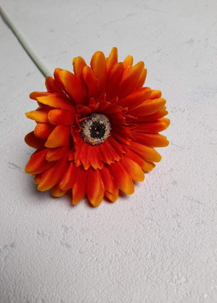 Gerbera - Etsy Gerbera - Etsy