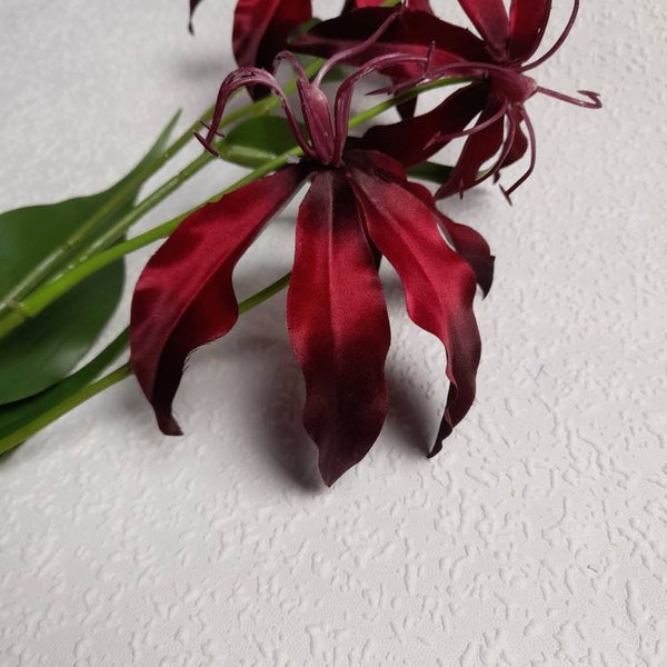 Gloriosa Lily Etsy