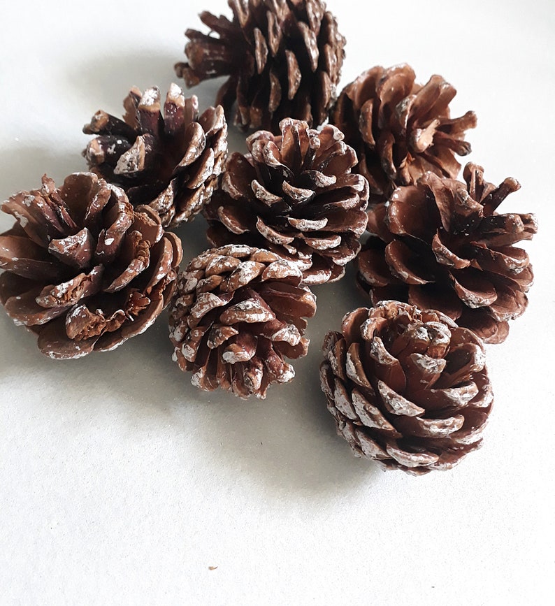 Artificial pine cone xmas pine cone snow pine cone xmas Etsy