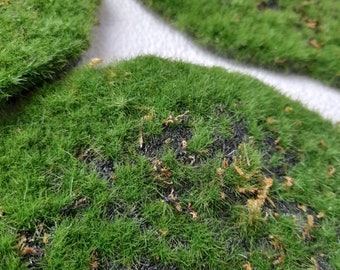 Fake Simulation Faux Moss Grass Moss Lichen Green Plants Artificial Moss Decor Fake Simulation Faux Moss Grass Moss Lichen Green Plants Artificial Moss Decor