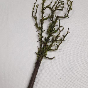 Artificial twig, artificial branch, moss twig, moss branch, rustic home decor, artificial tree branch, autumn wedding, woodland decor image 10