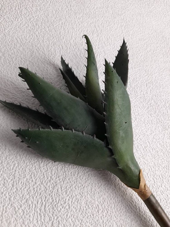 Aloe plant fake aloe artificial aloe plant fake aloe plant Etsy