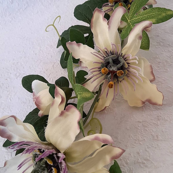 Passion Flower Vine Etsy