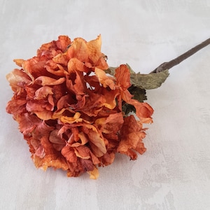 Artificial Dried Hydrangea Stem: Light Orange Rustic Flower Decor