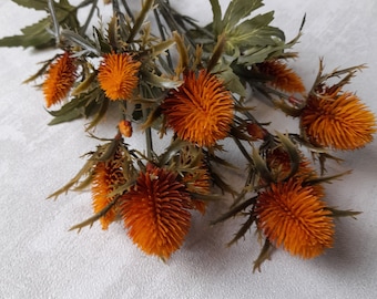 sea holly, artificial thistle, orange sea holly, thistle bouquet, autumn home decor, autumn wedding, orange thistle, thistle decor