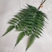 see more listings in the Foliage / Garlands section
