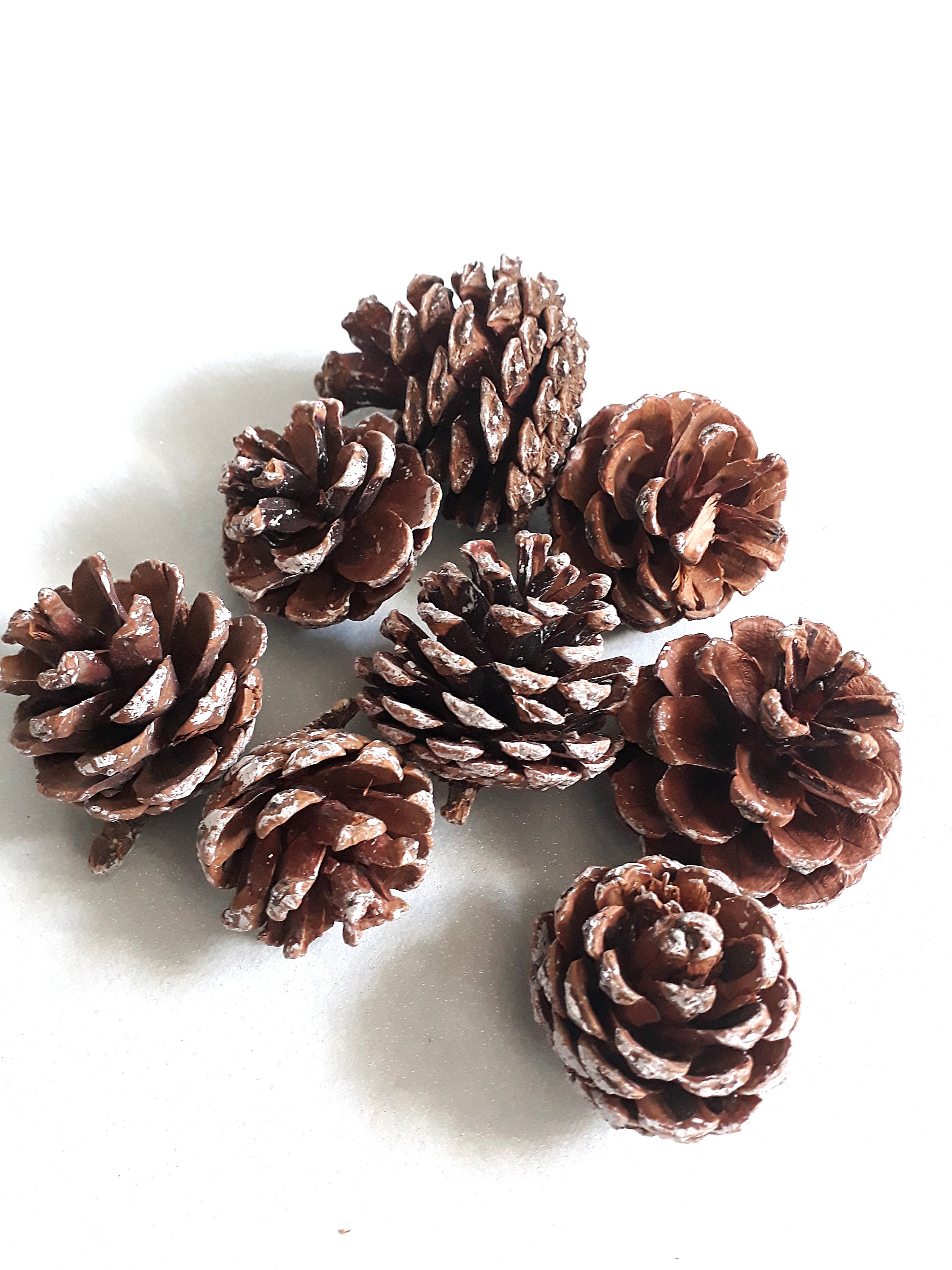 Artificial pine cone xmas pine cone snow pine cone xmas Etsy