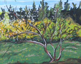 Pintura original, Pintura al óleo pastel, Pintura al aire libre, Pintura impresionista, Pintura de árbol, Fournier, "Manzano joven", 12.5x16