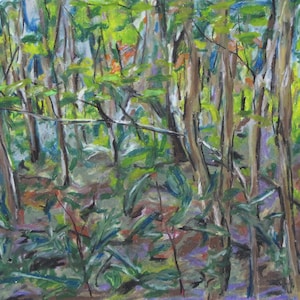 Oil Pastel Painting, Original Painting, Landscape Painting, Forest Painting, Forest Floor Painting,  Fournier, &quot;The Undergrowth&quot;, 12.25x16