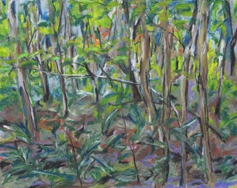 Oil Pastel Painting, Original Painting, Landscape Painting, Forest Painting, Forest Floor Painting,  Fournier, "The Undergrowth", 12.25x16