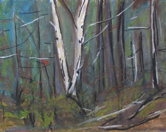 Oil Pastel Painting, Plein Air Painting, Forest Painting, Tree Painting, Undergrowth Painting, Fournier, "The White Birch", 17.5x22.5