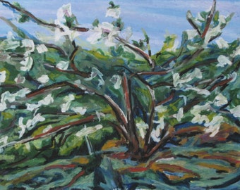 Oil Pastel Painting, Plein Air Painting, Blossom Painting, Spring Painting, Apple Tree Painting, Fournier, "White Blossom", 12.5x16