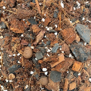 May include: Close-up of a mixture of brown coconut husk chips, black charcoal pieces, and white perlite. This is a soil mix for plants.