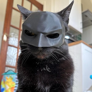 Bat Cat Cosplay Mask for Funny Pet Photos – Superhero Cat Costume | Halloween Kitten Dress Up | Black Pet Party Accessory