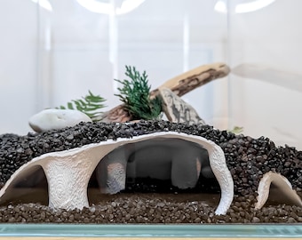 Natural Aquarium Cave for Shrimp, Betta, Corydoras, Pleco – Under Substrate Tunnel Hide | Breeding Shelter | Fish Tank Aquascape Decor