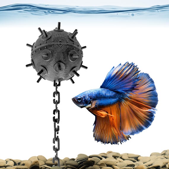 Aquarium Tunnels for Fish: Stunning Designs to Transform Your Tank