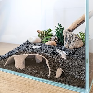 May include: A small glass terrarium with a black gravel base, a white paper tunnel, and natural elements like rocks, shells, and driftwood. Green fern and evergreen sprigs add color. The terrarium is set on a wooden surface.