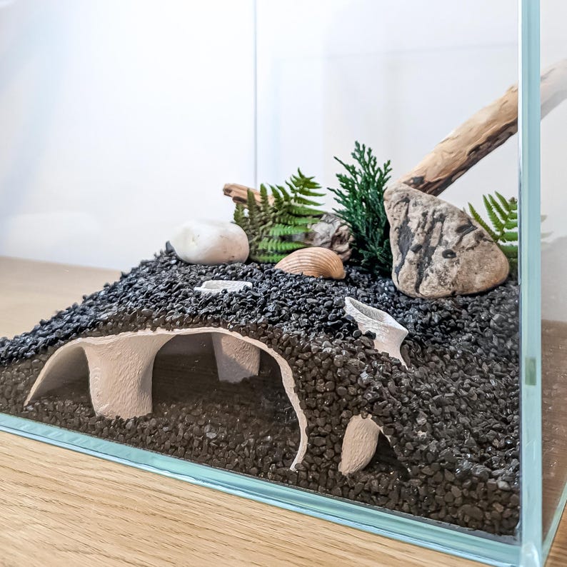 May include: A small glass terrarium with a black gravel base, a white paper tunnel, and natural elements like rocks, shells, and driftwood. Green fern and evergreen sprigs add color. The terrarium is set on a wooden surface.