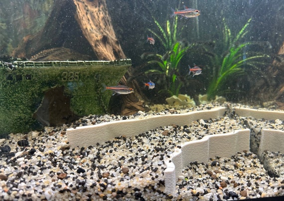Gravel Substrate for Aquascaping: Ultimate Guide to Stunning Tanks