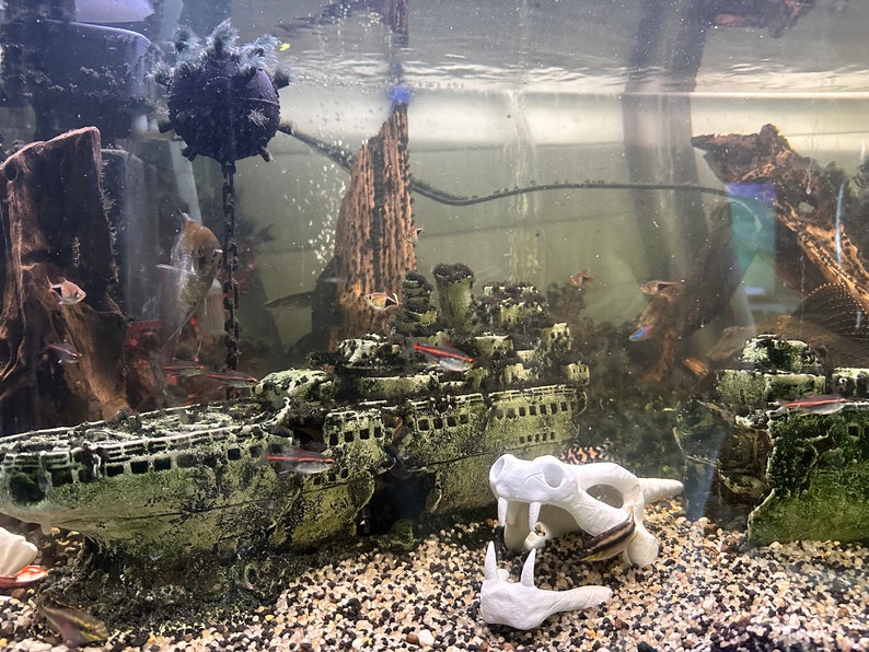 May include: A green and brown shipwreck aquarium decoration with a white skull decoration in the foreground. The shipwreck is surrounded by small fish and gravel.