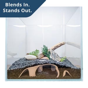 May include: A clear glass terrarium with a dark blue banner that reads "Blends In. Stands Out." The terrarium is filled with black gravel, rocks, driftwood, and greenery, and a light-colored cave structure.