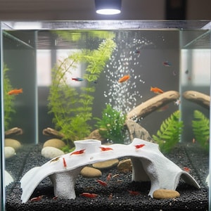 May include: A glass aquarium filled with water, plants, and small fish. The tank features a white decorative bridge and a dark substrate. Several small, red shrimp are visible, along with orange and blue fish. Bubbles rise from an air stone.