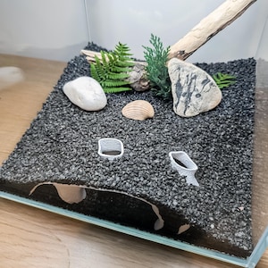 May include: A small, clear glass terrarium with a black gravel base. The terrarium is decorated with a piece of driftwood, small rocks, a seashell, and green plants. Two small, white, 3D-printed structures are in the foreground.