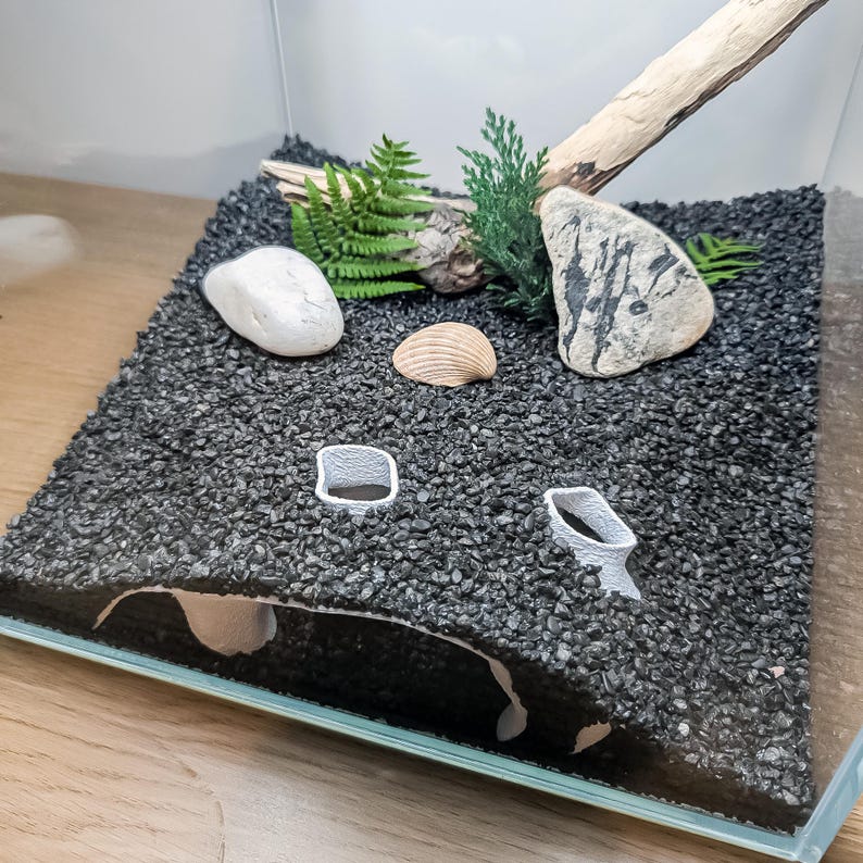 May include: A small, clear glass terrarium with a black gravel base. The terrarium is decorated with a piece of driftwood, small rocks, a seashell, and green plants. Two small, white, 3D-printed structures are in the foreground.