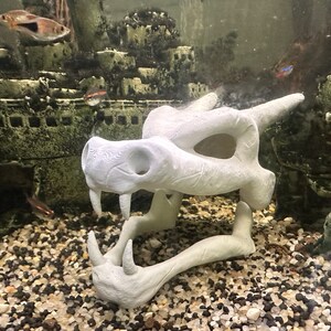 May include: White plastic dragon skull aquarium decoration. The skull is open-mouthed with visible teeth and has a textured surface.