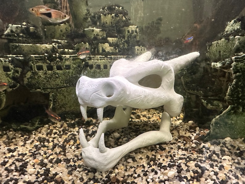 May include: White plastic dragon skull aquarium decoration. The skull is open-mouthed with visible teeth and has a textured surface.