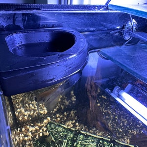 May include: A black plastic fish tank feeder with a curved design, attached to the side of a fish tank. The feeder is partially submerged in water and has a small amount of food inside. The tank is filled with water and gravel, and there is a fish swimming in the background.