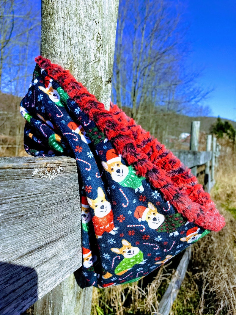 Cardinal Ridge & Corgis in Christmas Sweaters Shannon Fabrics image 0