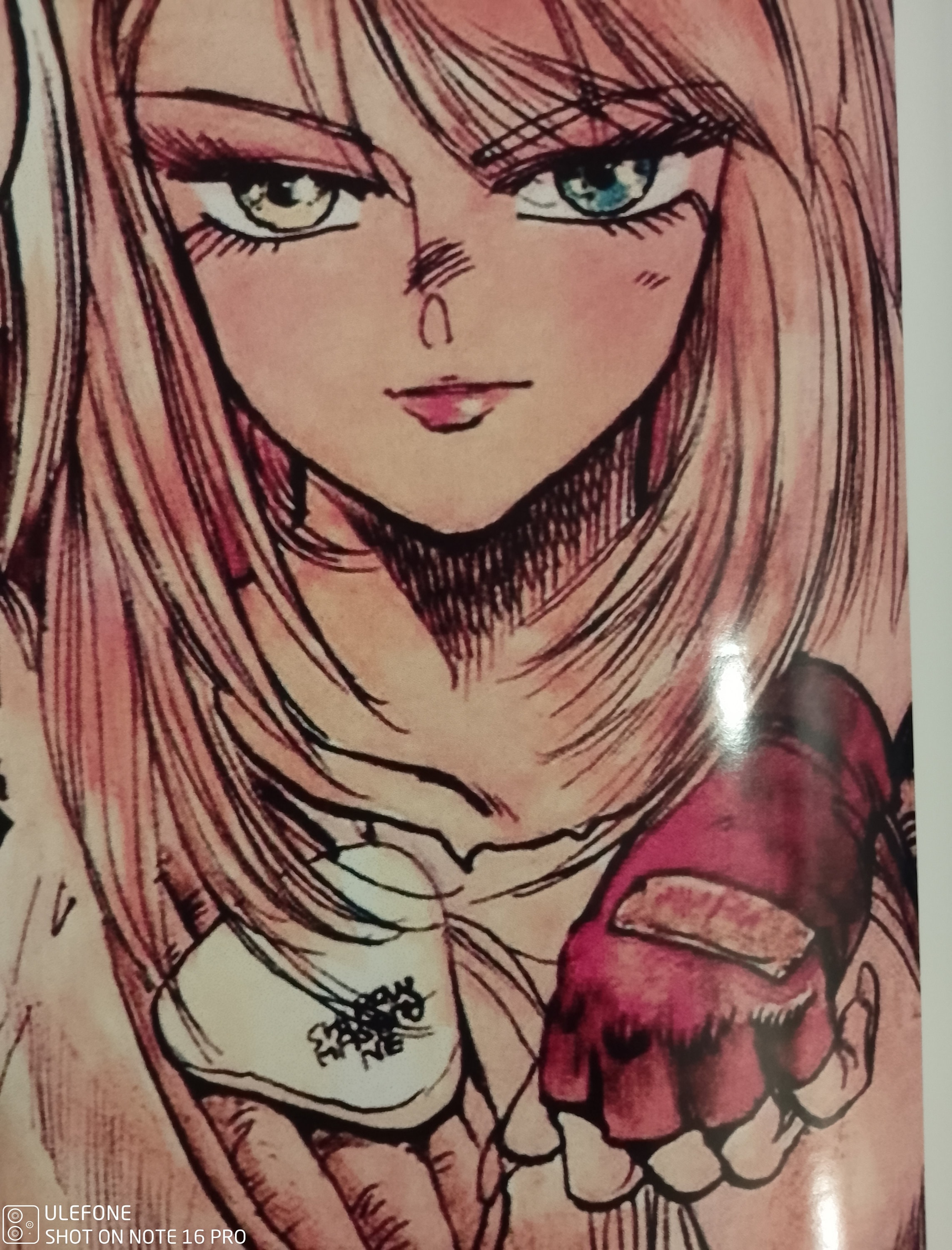 Masamune Shirow Puma Twins Dominion Tank Police Print 17x22 - Etsy