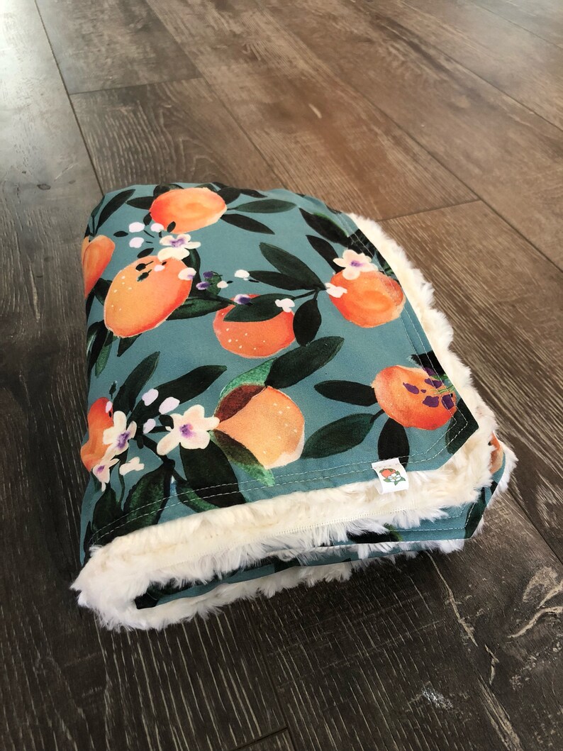 Faux Fur Minky Clementine Baby Blanket and Sloth Lovey Etsy